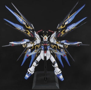 PG 1/60 ZGMF-X20A Strike Freedom Gundam "Mobile Suit Gundam SEED"